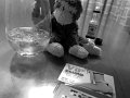 LAS-MGMSuite_12-2018 (17)